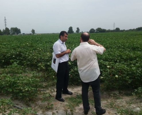 A site visit was conducted between 22-29 July 2019 in Aran, Azerbaijan within the scope of the project titled “Destination Management Organization: Conceptual Framework for Azerbaijan, Cameroon and Iran” being implemented by State Tourism Agency of Azerbaijan.  During the site visit, Hajikabul, Kürdemir, Ucar, Göyçay, Ağdaş, Mingeçevir, Yevlax, Berde, Ağcabedi, Beyleqan, İmişli, Sabirabad, Sirvan, Salyan, Neftçala, and Belasuvar districts were visited.  Photos 4