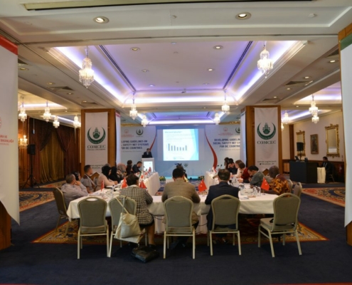 Developing Guidelines On Social Safety Net Systems For The OIC Countries-3