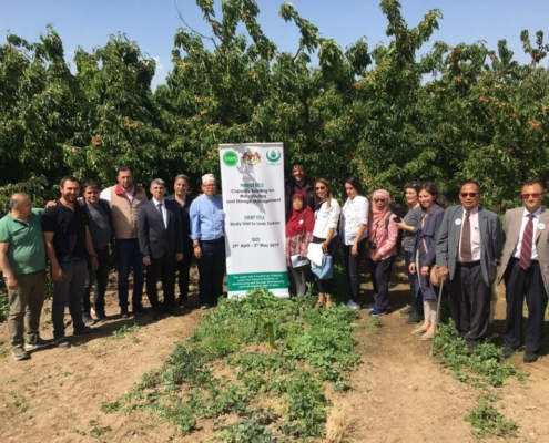 Study Visits To Turkey Have Been Conducted 2