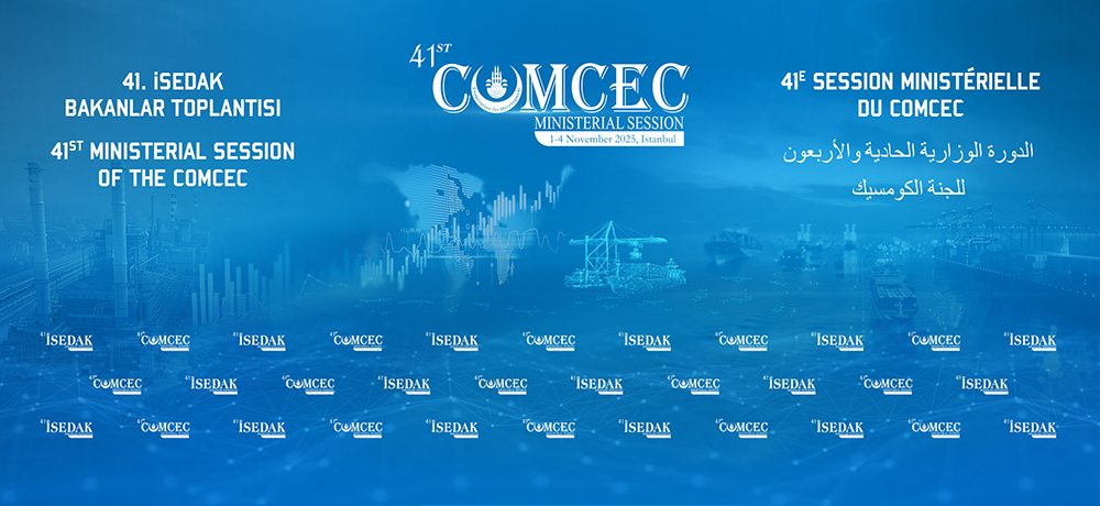 41<sup>st</sup> Session of the COMCEC