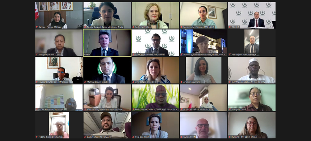 13<sup>th</sup> Annual Coordination Meeting of COMCEC Focal Points was held on 9-10 June 2026