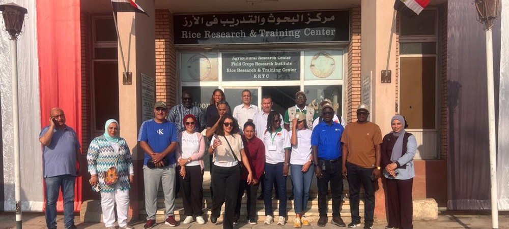 Within the framework of the project titled “Capacity Building on Adopting Water-Smart Agricultural Techniques for Paddy Production in Malaysia (2025-MYSAGRIC-359)”, a peer-to-peer experience-sharing study visit to Egypt was carried out
